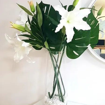 דירה El Rincon De Mi Nina