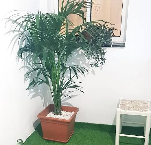 El Rincon De Mi Nina