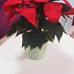 El Rincon De Mi Nina דירה