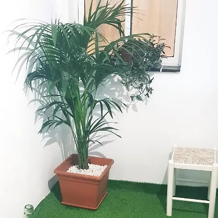 El Rincon De Mi Nina