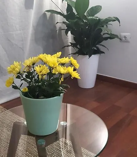 公寓 El Rincon De Mi Nina *